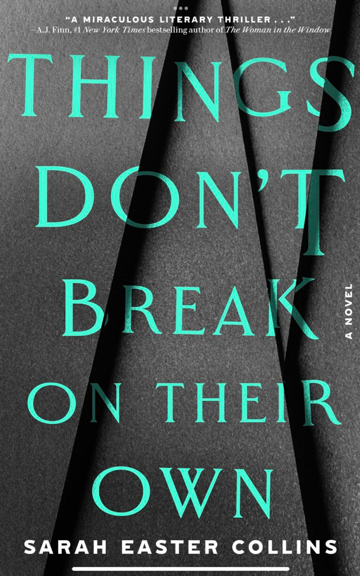 Things Don't Break on their Own by Sarah Easter Collins - US cover