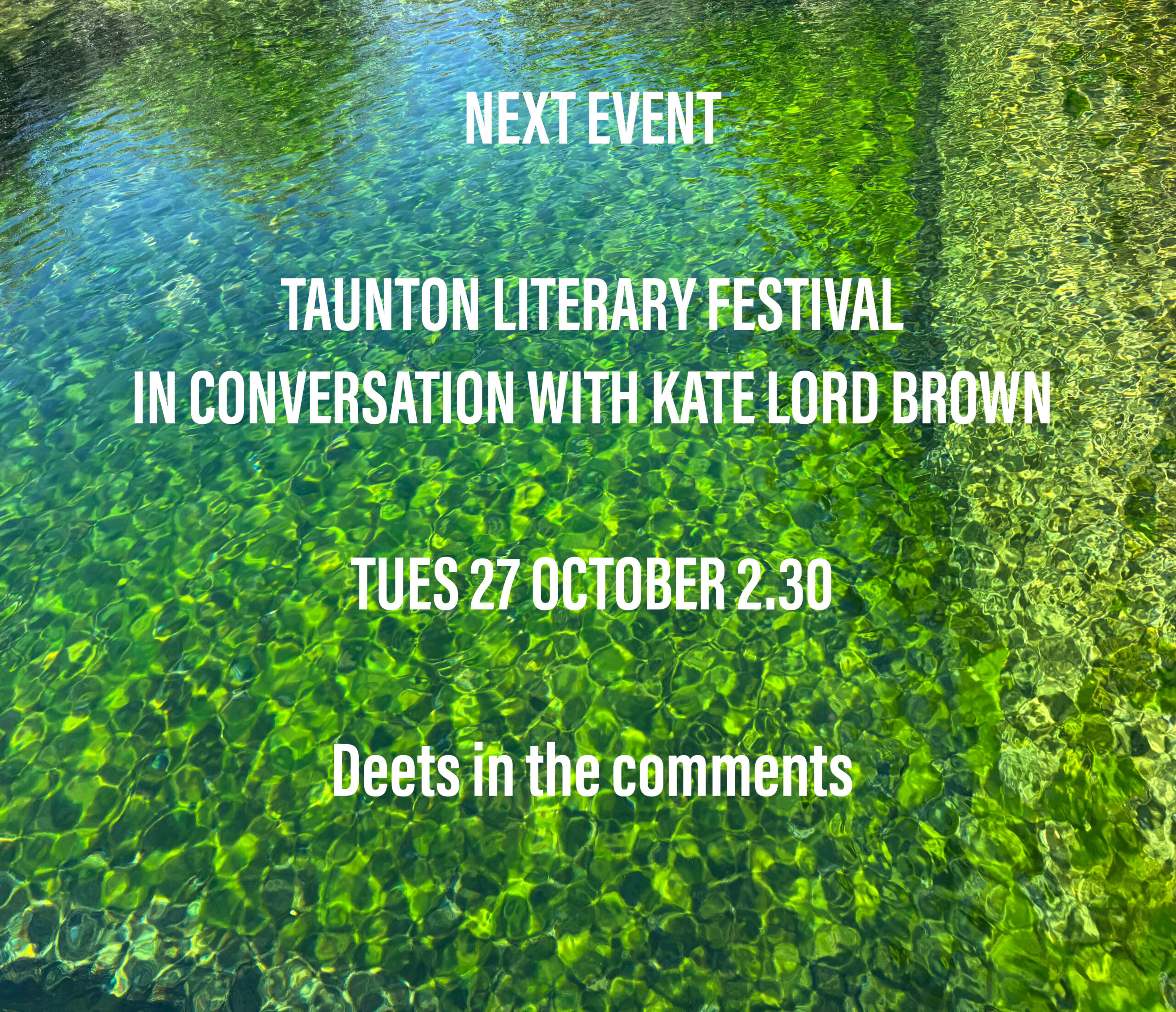 Taunton Lit festival